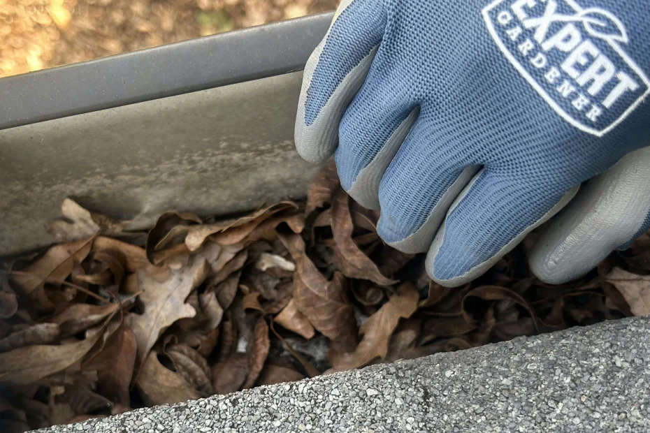 Gutter Cleaning Bethlehem